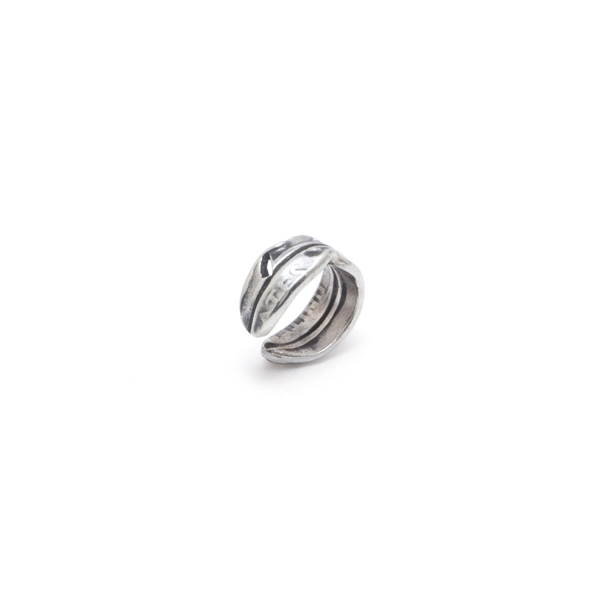 LIBERTY Earring